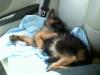 Sleeping in my car