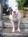 Zen at 2.5 years