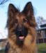 Februar 2014 