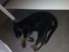 Samantha first nigth sleeping