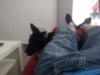 Samanta sleeping on sofa