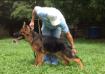 Otra de Zoom entrenando pose