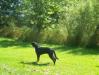 Kanute 7 months old Sunday, September 07, 2014