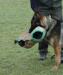training protection work 
