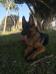 9 months  -  December 2015 Marina Del Rey, CA, USA