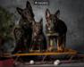 fenrir and his daddy and 2 of his litter mates