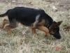 Fayza 20090307