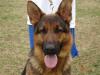 Loki 20090307