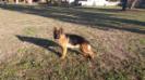 Isaac Von Drey, 1 year old