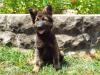 14wks