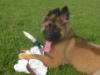 13 weeks