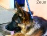 6 meses