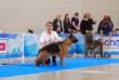 Darina - Champion Eurazia 2018 