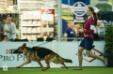 IDS DORTMUND 2017 - Darina BOB and Spring Winner!!! 