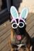 Easter 2018
