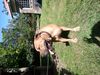 Ruby @ 5years