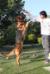 rocky jumping