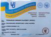 Jr. Ukraine CH