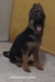 Indiana Von Lopher creciendo 