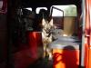 fire truck