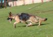 Candy on the Move