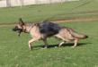 Candy on the Move