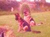 Sam pic 12