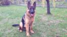 8 month old