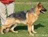 KIRA - 2 Jahre