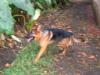 Thor, 15.04.2012