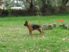 Thor, 15.04.2012