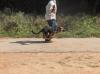 Rocky pics