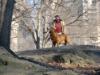 Dozier in Central Park