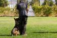 6 months old, participation in Davide Codebue seminar