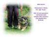 Varse maj 2007