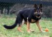 Myka