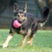 Myka 13 months