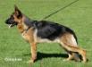 Esprit von Bravour Picture