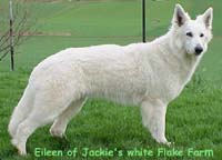 Eileen of Jackie's White Flake Farm
