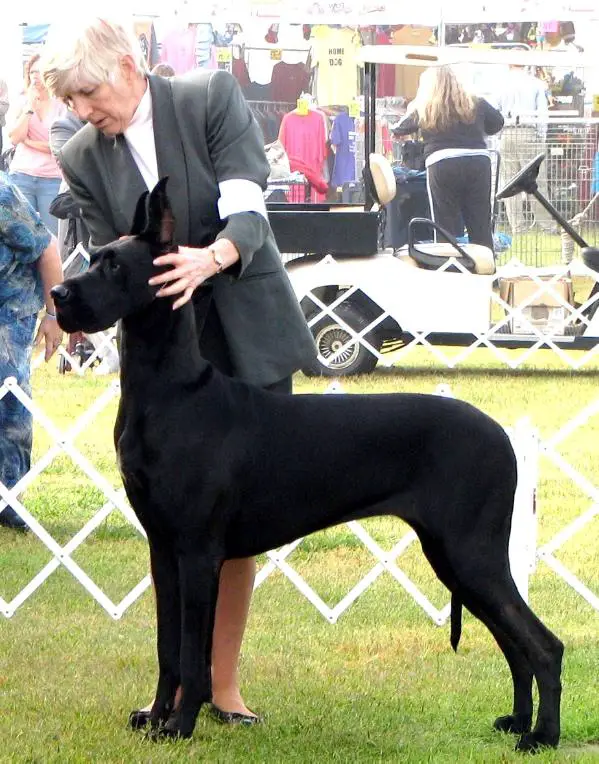 Gilham's Fool Me Once