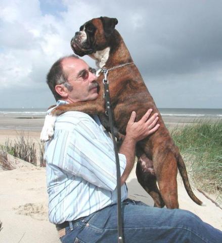 Quickstep Joy Erlenweide