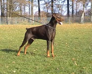 Addy Von Der Burgstatte