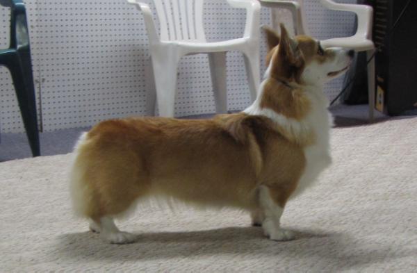 LS Can't Buy Me Love