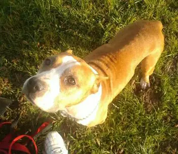 Pacific blue sky Tahiti girl