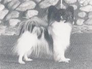 SE UCH Caspian's Chiquita