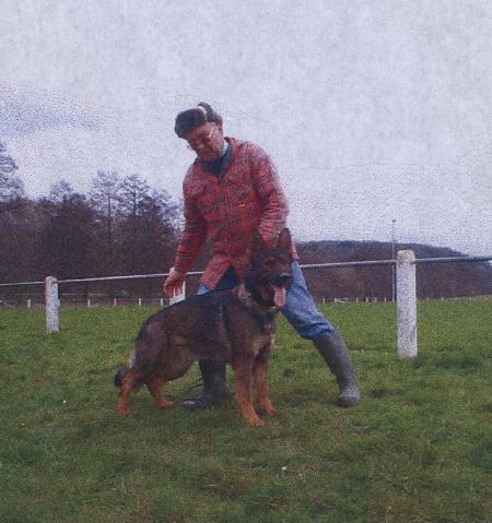 Gela aus dem Wesen Zwinger