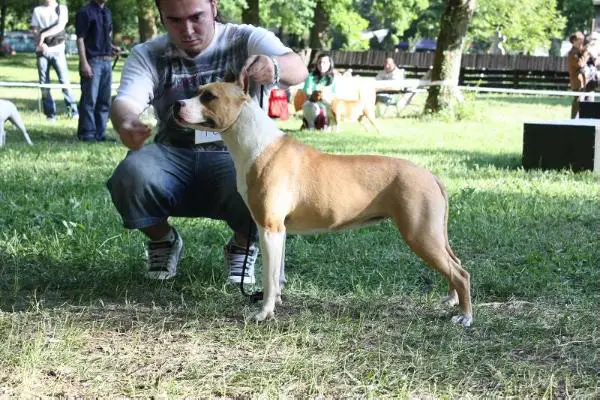 Dok's Pride Amazonian Princess