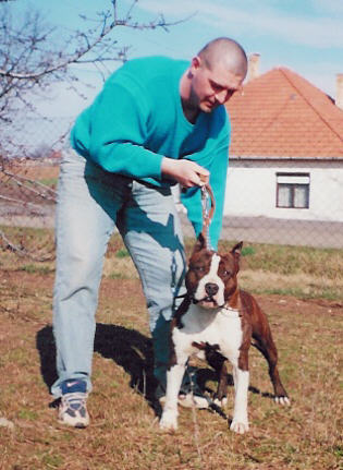 Georgetown's Dusty Road