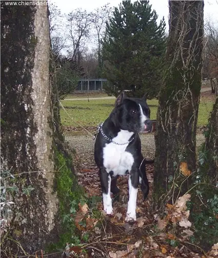 Sonnia De la crique du Flojule