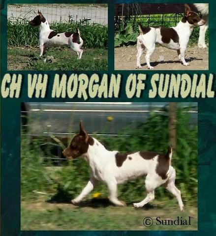 CH VH Morgan of Sundial